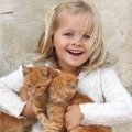 child with 2 cats